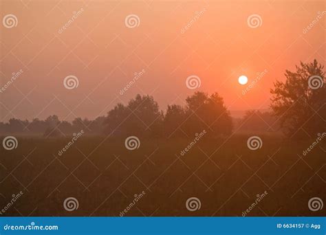 Foggy sunrise stock image. Image of landscape, foggy, sunrise - 6634157