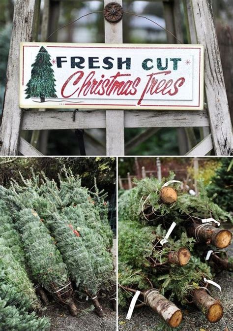 Fresh Cut Christmas Trees Pictures, Photos, and Images for Facebook ...