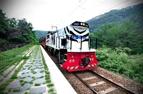 Riding the V-Train in Korea » Greg Goodman: Photographic Storytelling