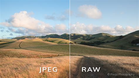 Comparing JPEG and RAW - Exposure Software