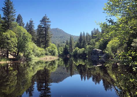 7 day-use and camping sites reopened in San Bernardino National Forest – Daily Bulletin