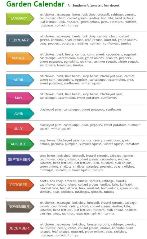 Arizona Planting Calendar