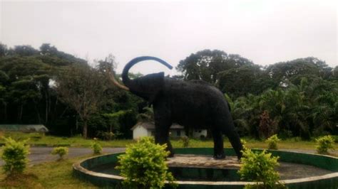 Cross River National Park (Akampa) - 2021 All You Need to Know BEFORE You Go (with Photos ...