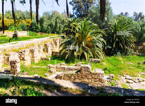 Old Carthage ruins in Tunisia Stock Photo - Alamy