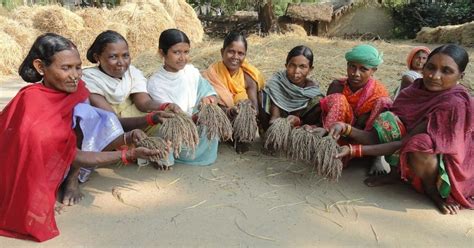 Tribal Woman Preserves 30 Rare Indian Millets - Sarkari Results, Jobs, Exams Admit Cards Updates