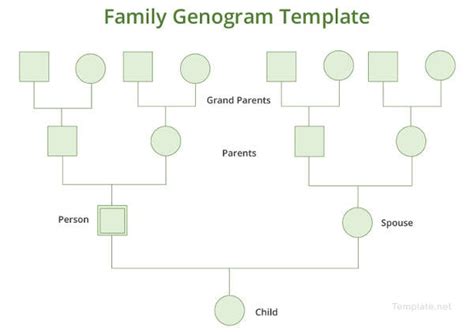 40+ Genogram Templates - PDF, DOC, PSD | Free & Premium Templates
