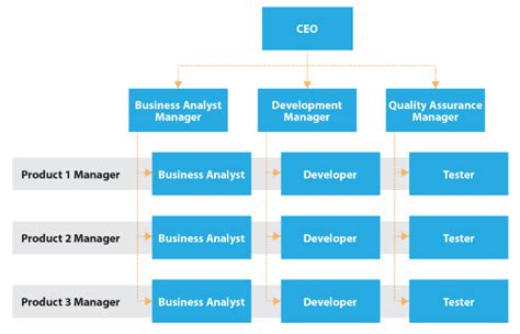 Matrix Organizational Structure Guide with Examples