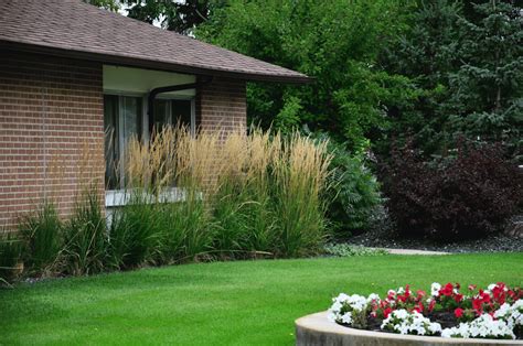 Prairie Grasses - Your Winnipeg Landscaping Experts