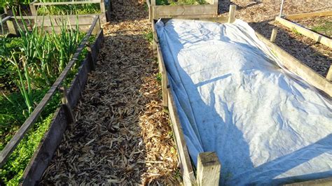 Using Woodchips in Allotment & Garden - Allotment Garden Diary