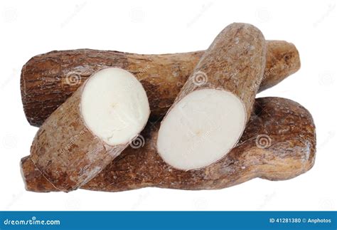 Sliced manioc stock photo. Image of mandioca, natural - 41281380