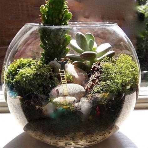 44 Stunning Diy Terrariums Design Ideas http://prohousedecor.info/44-stunning-diy-terrariums ...