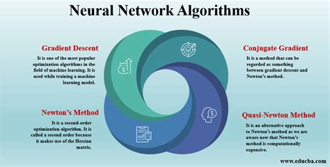 Neural Network Algorithms | 4 Types of Neural Network Alogrithms