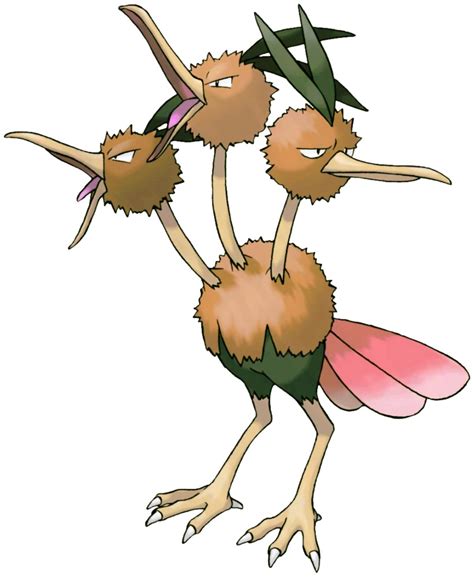 Dodrio Pokédex: stats, moves, evolution & locations | Pokémon Database