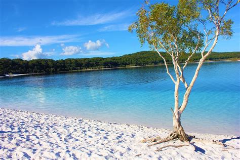 White sand Lake McKenzie, Fraser Island, Queensland Australia : r/travel