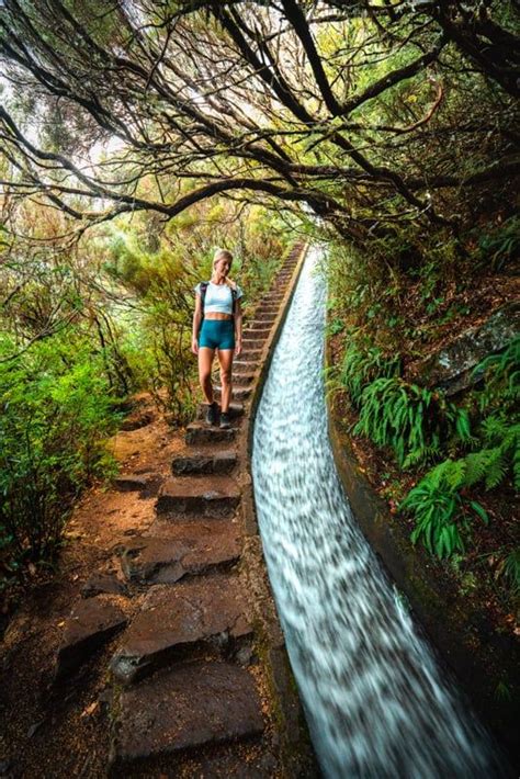 levada-do-alecrim-levada-stairs | Madeira island, Best hikes, Hiking guide