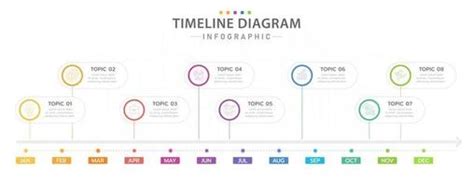 Infographic Timeline Vector