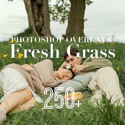 Grass Photoshop Overlays, Photo Overlays Package, Plants Nature PS Coverage Background Effect ...