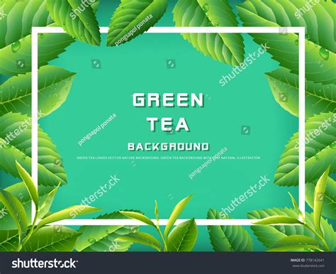 Green Tea Leaves Vector Nature Background Stock Vector (Royalty Free ...