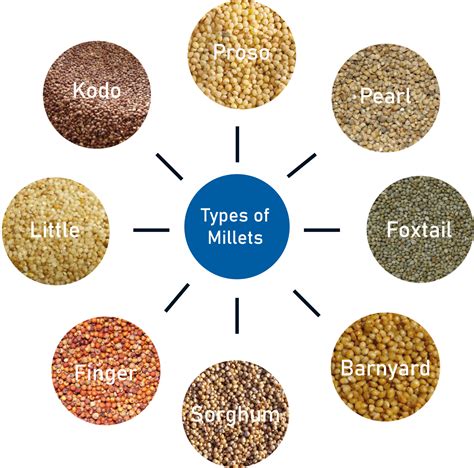 Types And Benefits Of Millets – NutritionFact.in