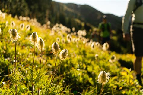 Summer hiking at Whitecap Alpine. Explore the rugged beauty of Canada.