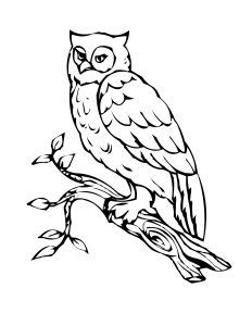 Free Printable Owl Coloring Pages For Kids