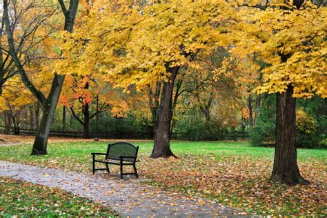 Autumn Park Bench stock photo. Image of fall, beauty - 34224220