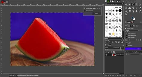 How to Remove Background of an Image Using GIMP (4 Easy Ways)