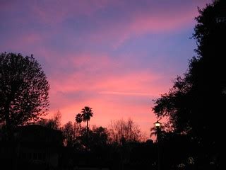 Pink Sky Three | You may notice the UFO in the lower right c… | Flickr