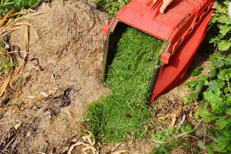 How To Compost Grass Clippings Fast