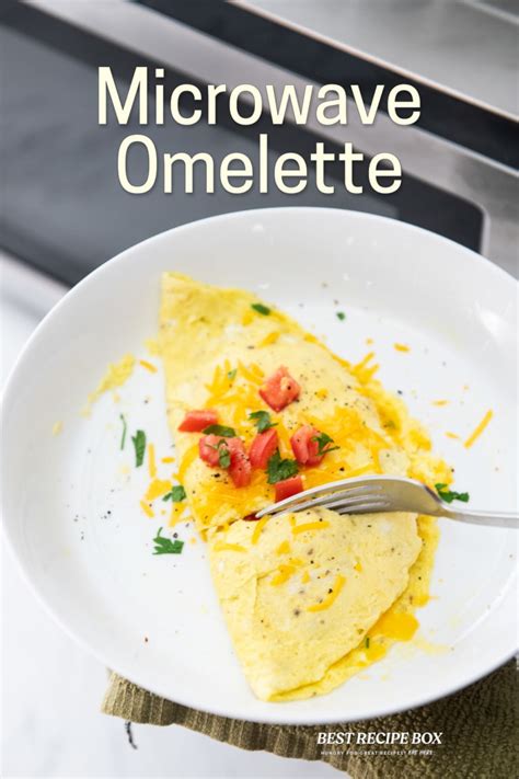 Microwave Omelette Recipe EASY 2 Min! KETO EGG | Best Recipe Box