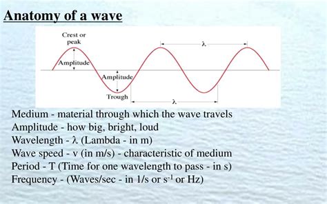 PPT - Anatomy of a wave PowerPoint Presentation, free download - ID:6550274