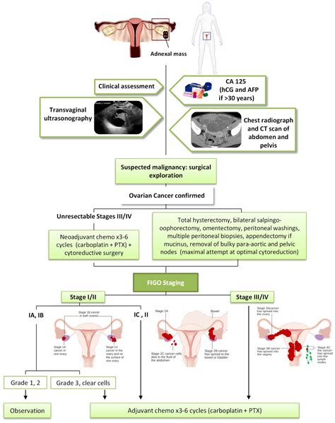 IJMS | Free Full-Text | Recent Progress in Gene Therapy for Ovarian ...