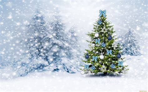 Top 47+ imagen christmas tree in snow background - thpthoangvanthu.edu.vn