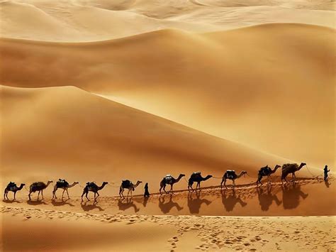 Desert Saudi Arabia Wallpapers - Top Free Desert Saudi Arabia Backgrounds - WallpaperAccess