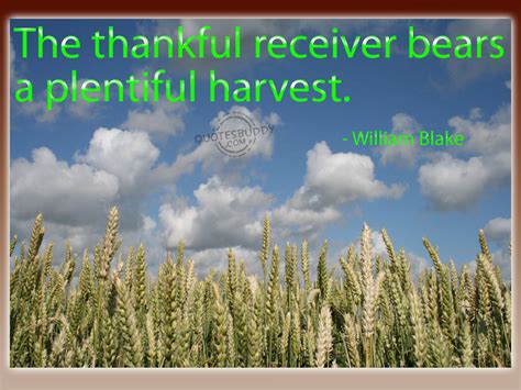 Harvest Quotes On Giving. QuotesGram