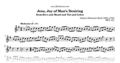 Jesu, Joy of Man's Desiring from Herz und Mund und Tat und Leben (J.S ...