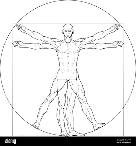 How To Draw The Vitruvian Man - Constructiongrab Moonlightchai