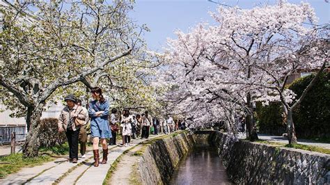 Kyoto Itineraries - Philosopher's Path Half Day