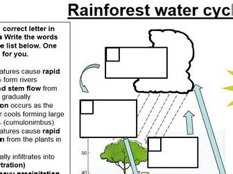 GCSE 9-1; Ecosystems and rainforests by ReallyGoodGeography - Teaching Resources - Tes