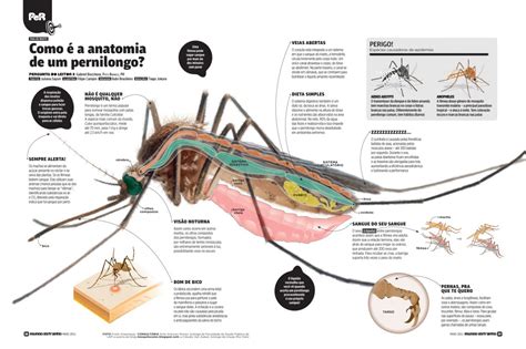 ANIMAL MAS LETAL ¨Peligroso" del Mundo MOSQUITO causas entre de 725.00 ...