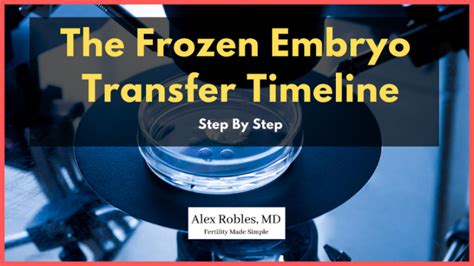 The IVF Frozen Embryo Transfer Timeline Explained (Step by Step) - Alex Robles, MD