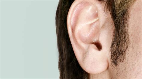 Pimple in Ear, Inside Ear Canal, Behind Ear – Cause, How to Get Rid & Pop Them - American Celiac