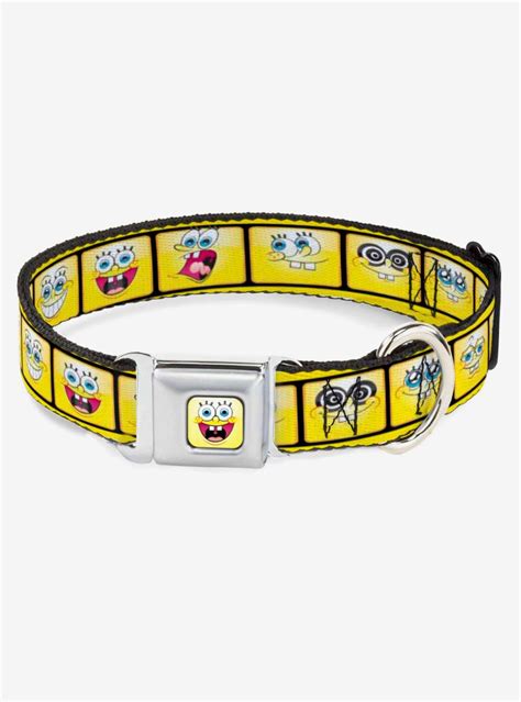 Spongebob Squarepants Expressions Filmstrip Dog Collar Seatbelt Buckle | Buckle, Spongebob ...