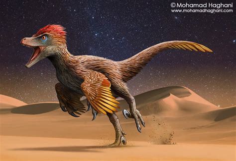 Velociraptor by haghani on DeviantArt