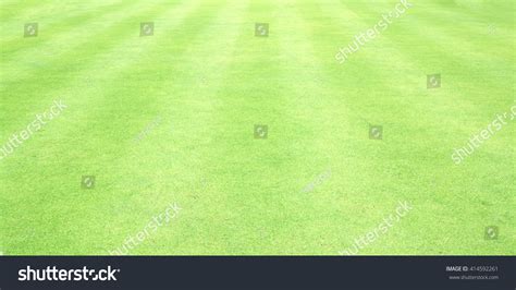 Football Field Green Grass Pattern Textured Stock Photo 414592261 ...