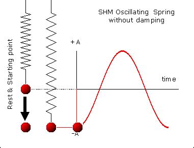 What are some examples of simple harmonic motion? | Socratic