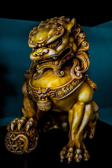 Shishi is the Chinese word for guardian lions which are statues ...