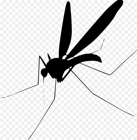 Free Mosquito Silhouette Png, Download Free Mosquito Silhouette Png png ...