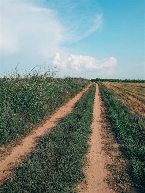 Landscape Photography of Farmland · Free Stock Photo