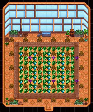 Stardew (SDV) Greenhouse Layout - Stardew | Guide